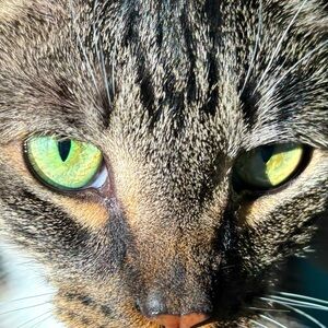 Meet your Posher, Linda